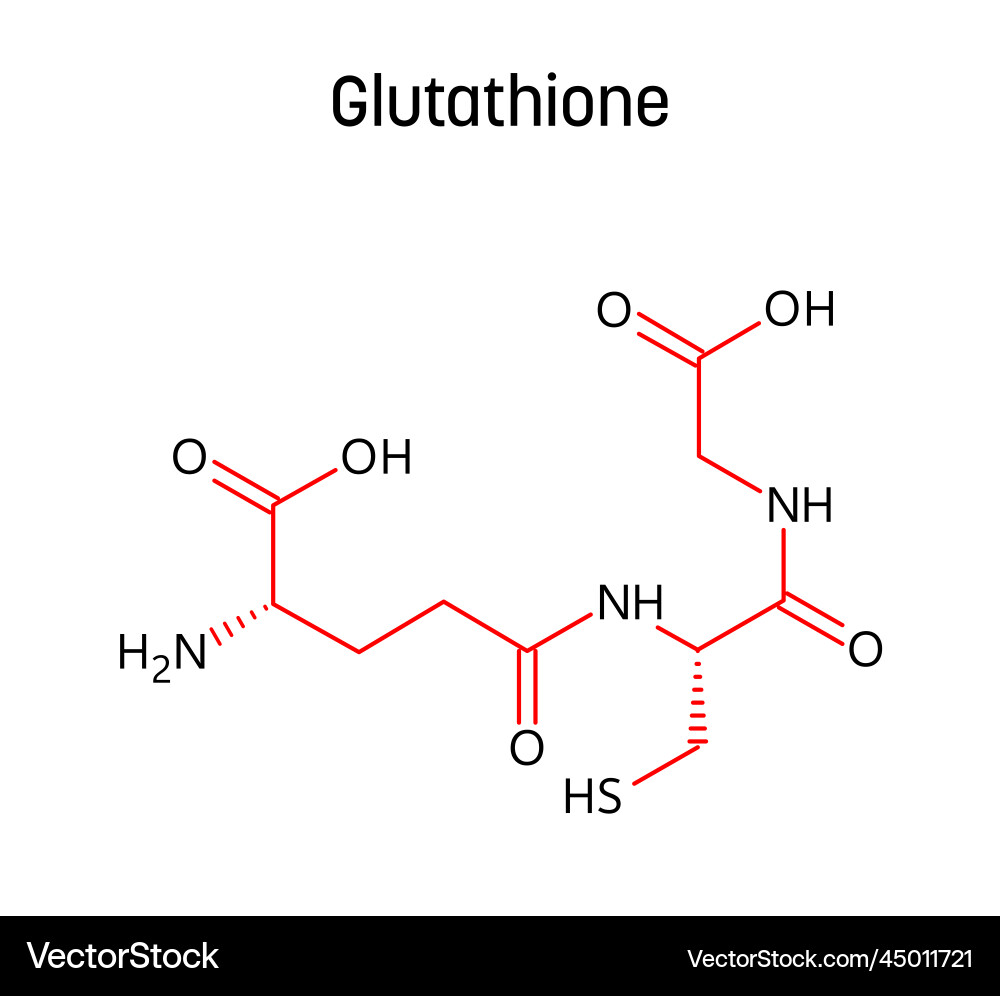 glutathione iupac name Glutathione structural formula of molecular – Royalty-Free Vector