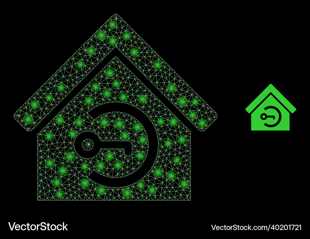 Mesh net home keyhole with light carcass Mesh net home keyhole with light carcass Vector Image