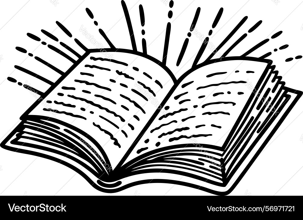 Open book with radiating lines symbolizing Vector Image