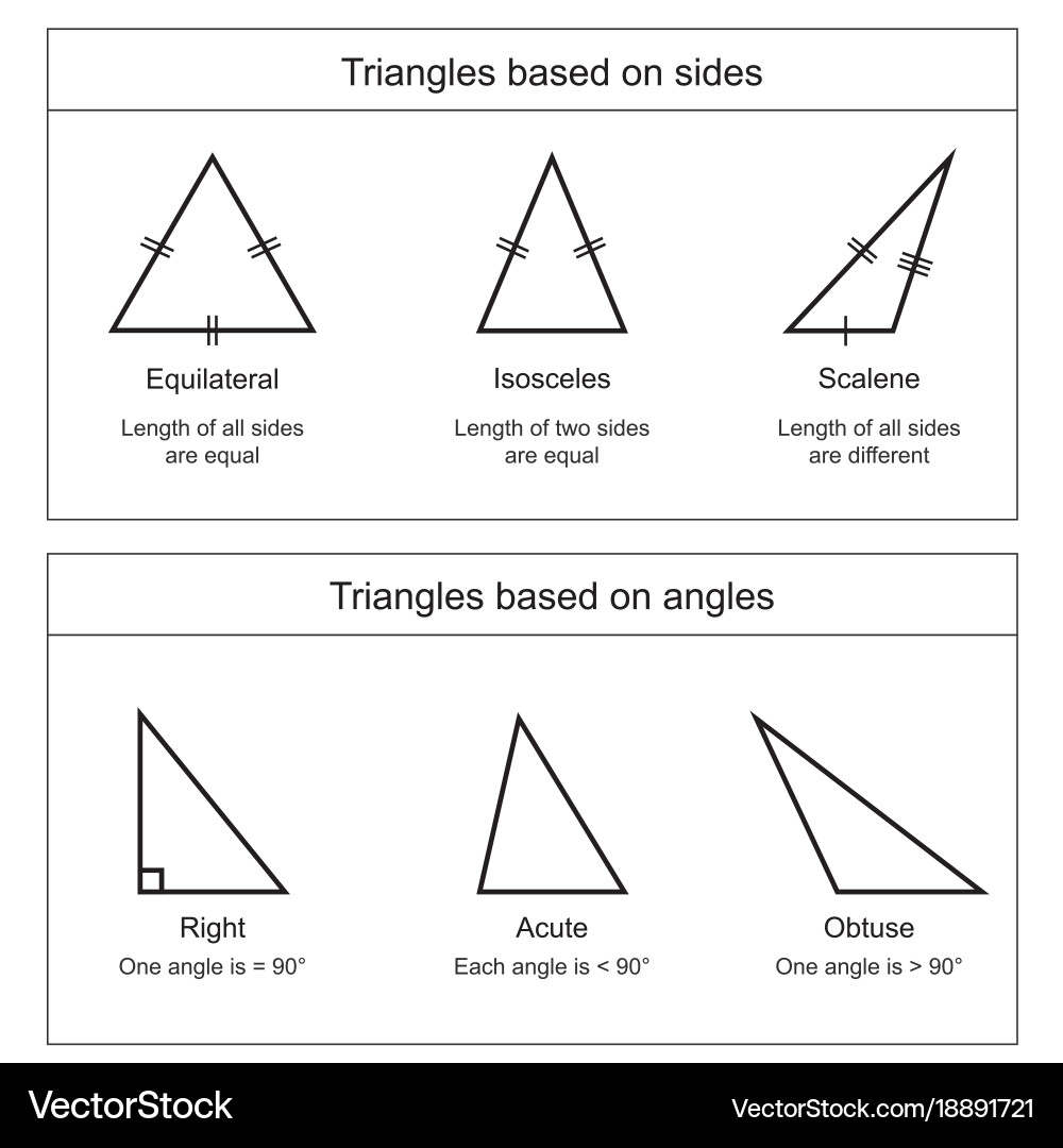 Triangle Types and Properties vector image