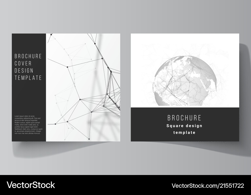 Layout of two square format covers design Vector Image