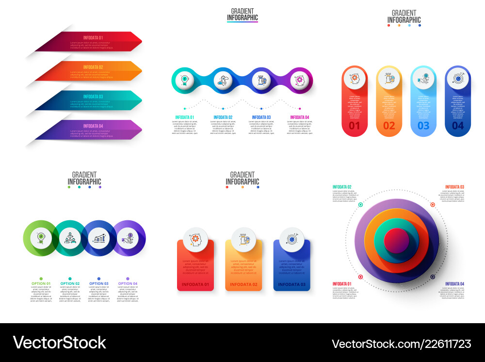 Business data visualization process chart Business data visualization process chart Vector Image
