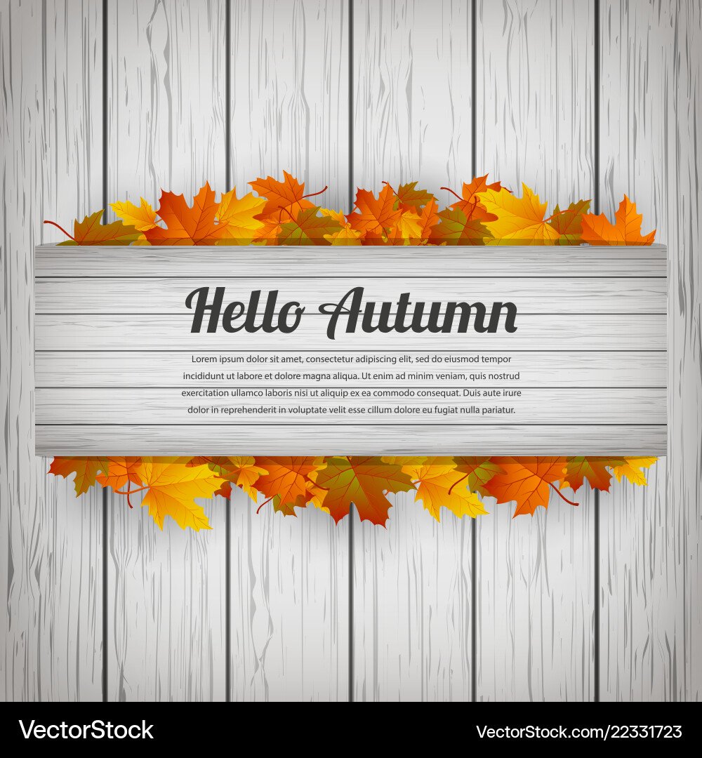 Hello autumn background with falling Hello autumn background with falling vector image