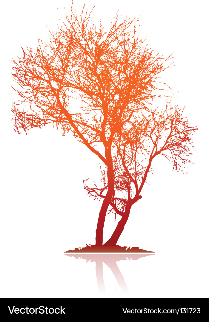 Traced tree Vector Image