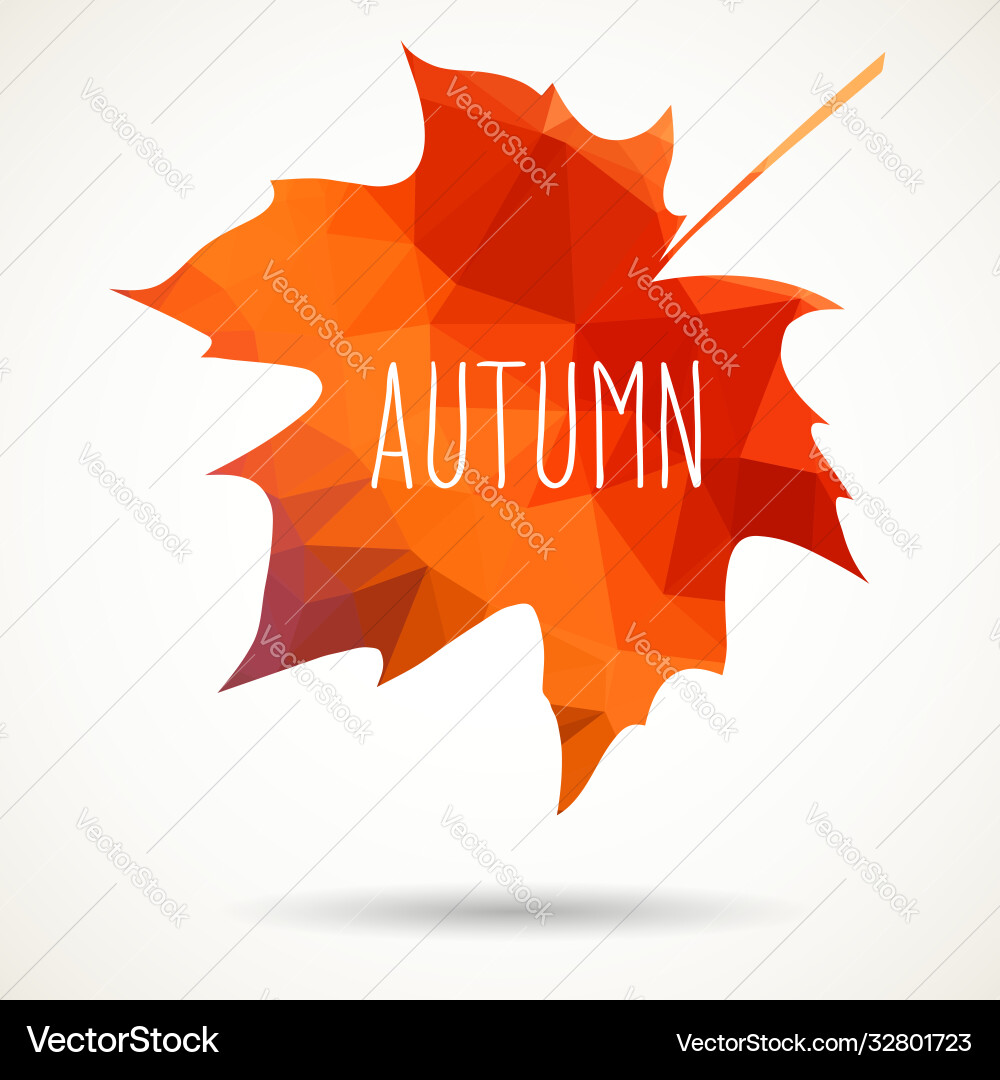Triangular maple leaf Vector Image