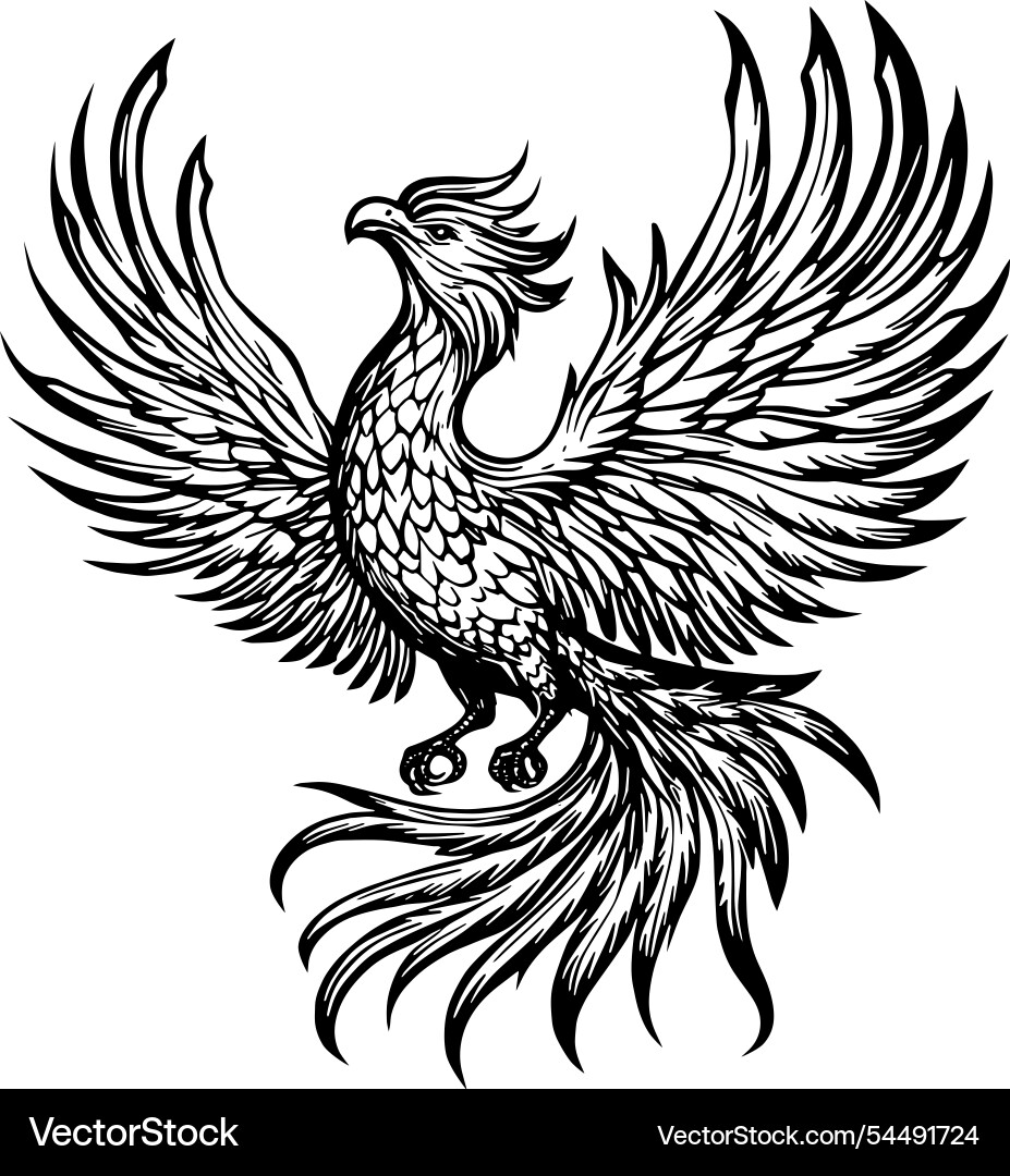 Elegant Phoenix Line Art Vector Image