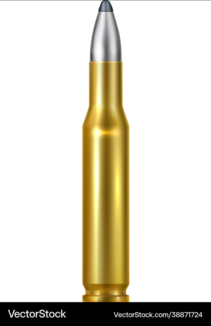Realistic bullet Realistic bullet vector image