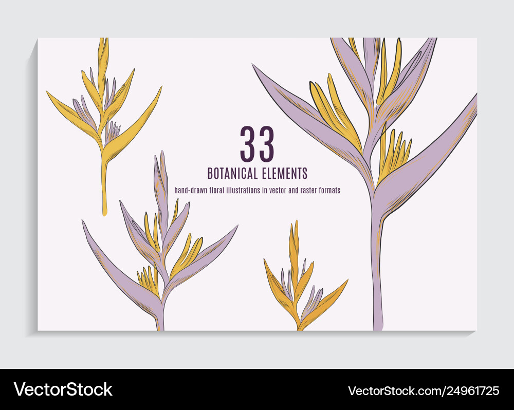 Exotic flower in yellow violet colors greeting Exotic flower in yellow violet colors greeting vector image