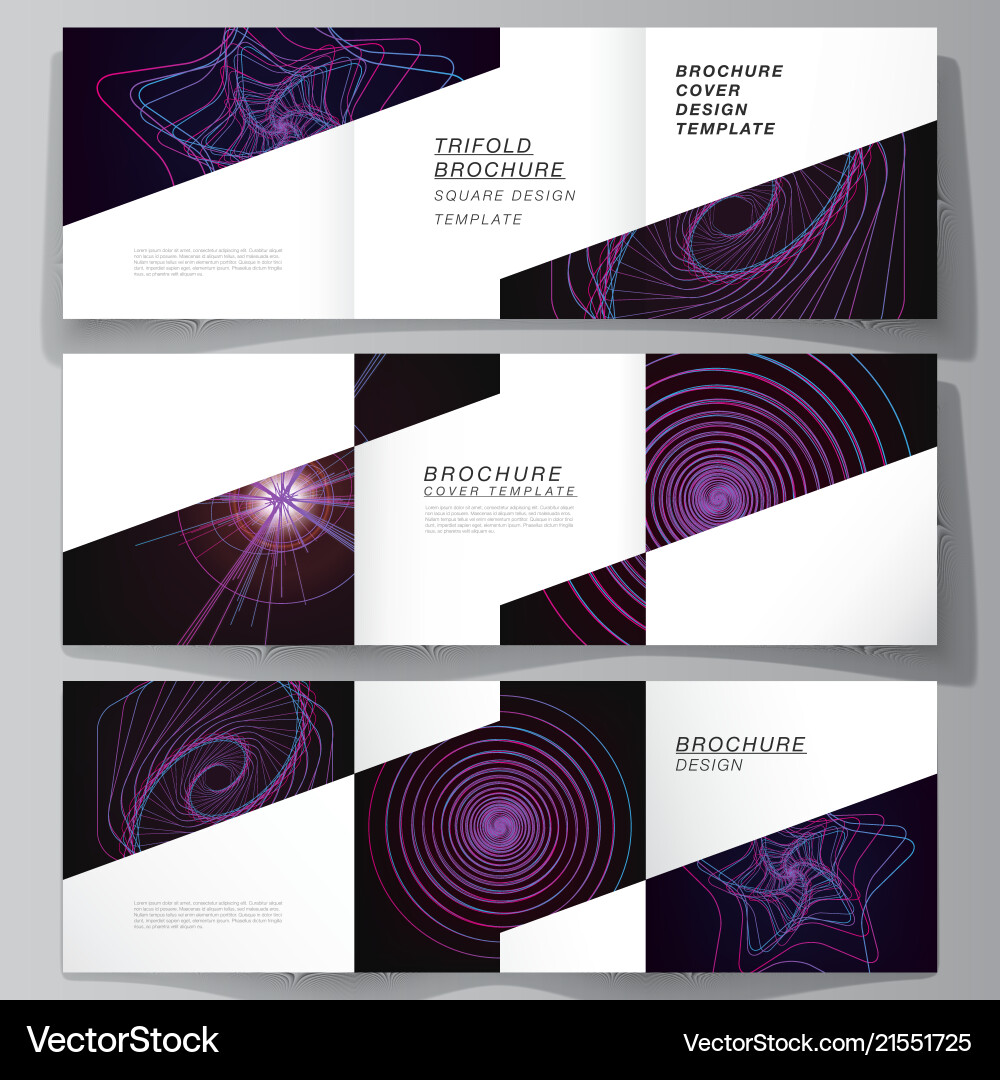 Layout of two square format covers design vector image
