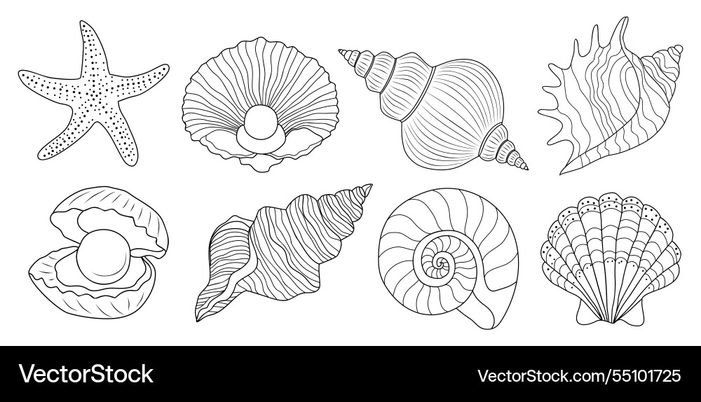 Minimalist seashells line art set isolated Minimalist seashells line art set isolated vector image