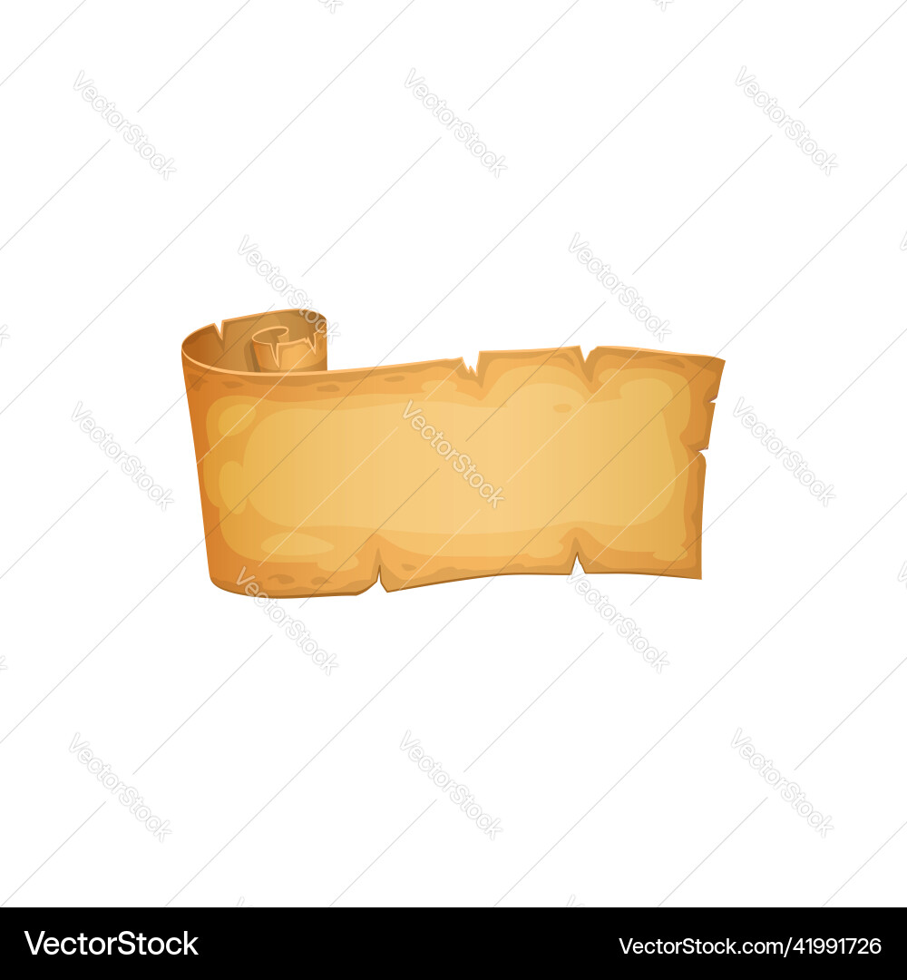 Grunge Medieval Scroll Template Vector Image