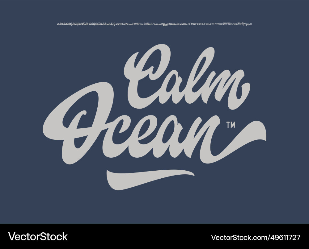 Brush script font Brush script font vector image