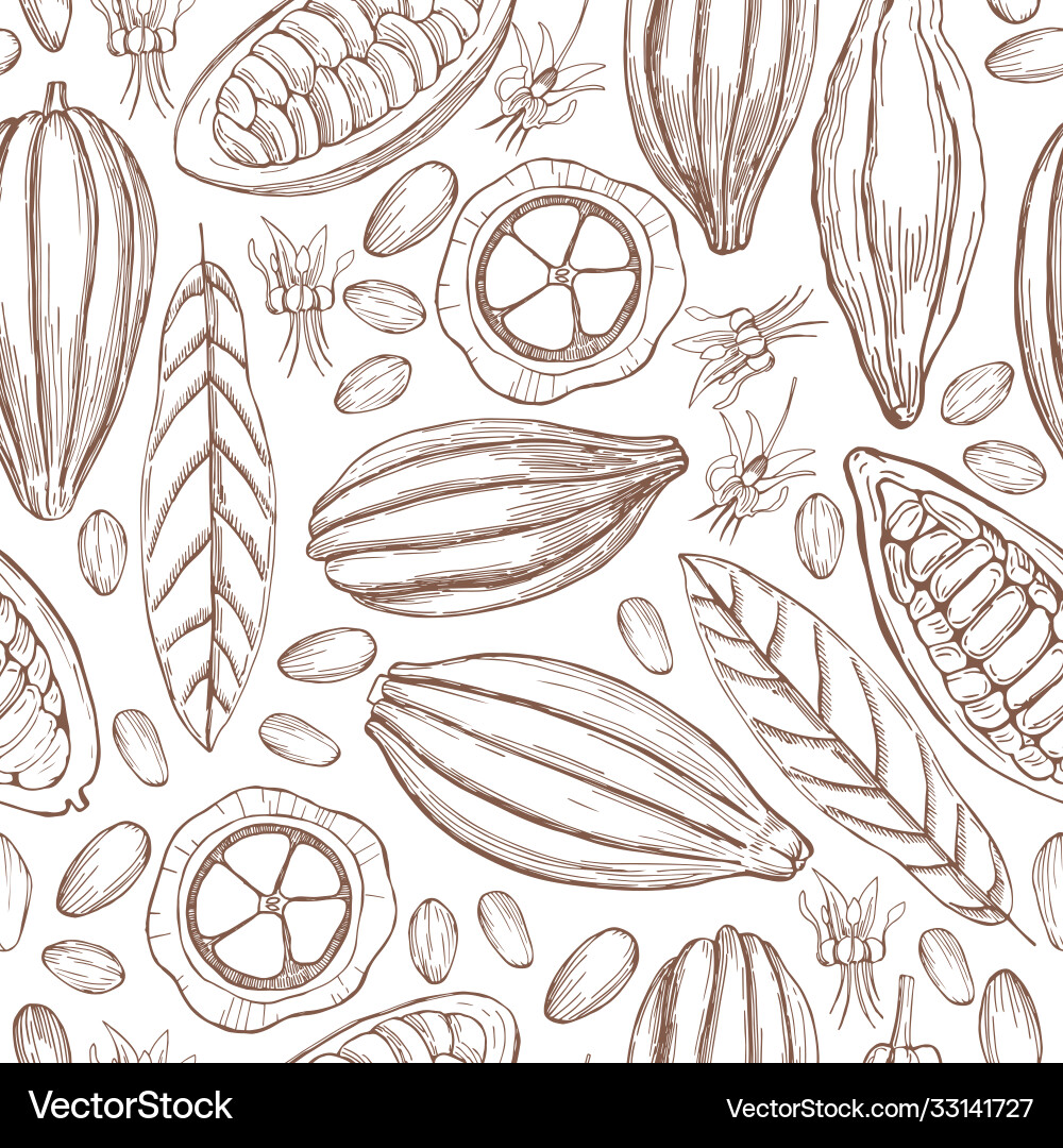 Hand Drawn Cocoa Bean Pattern vector image