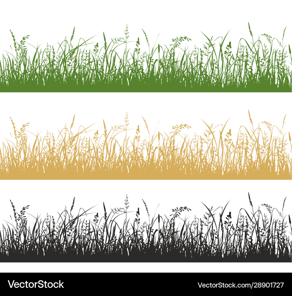 Meadow Plant Silhouettes vector image
