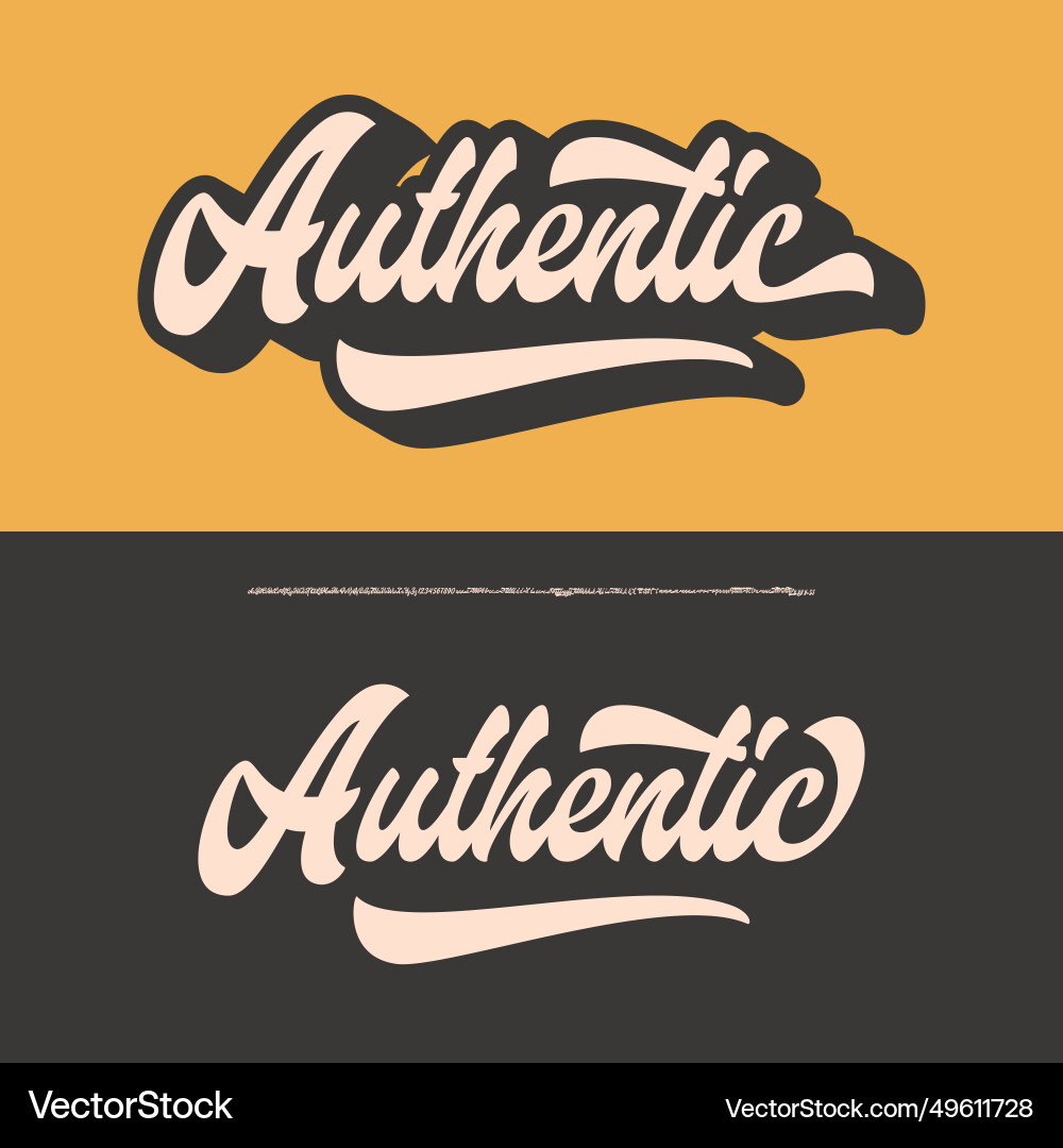 Authentic Brush Script Font vector image