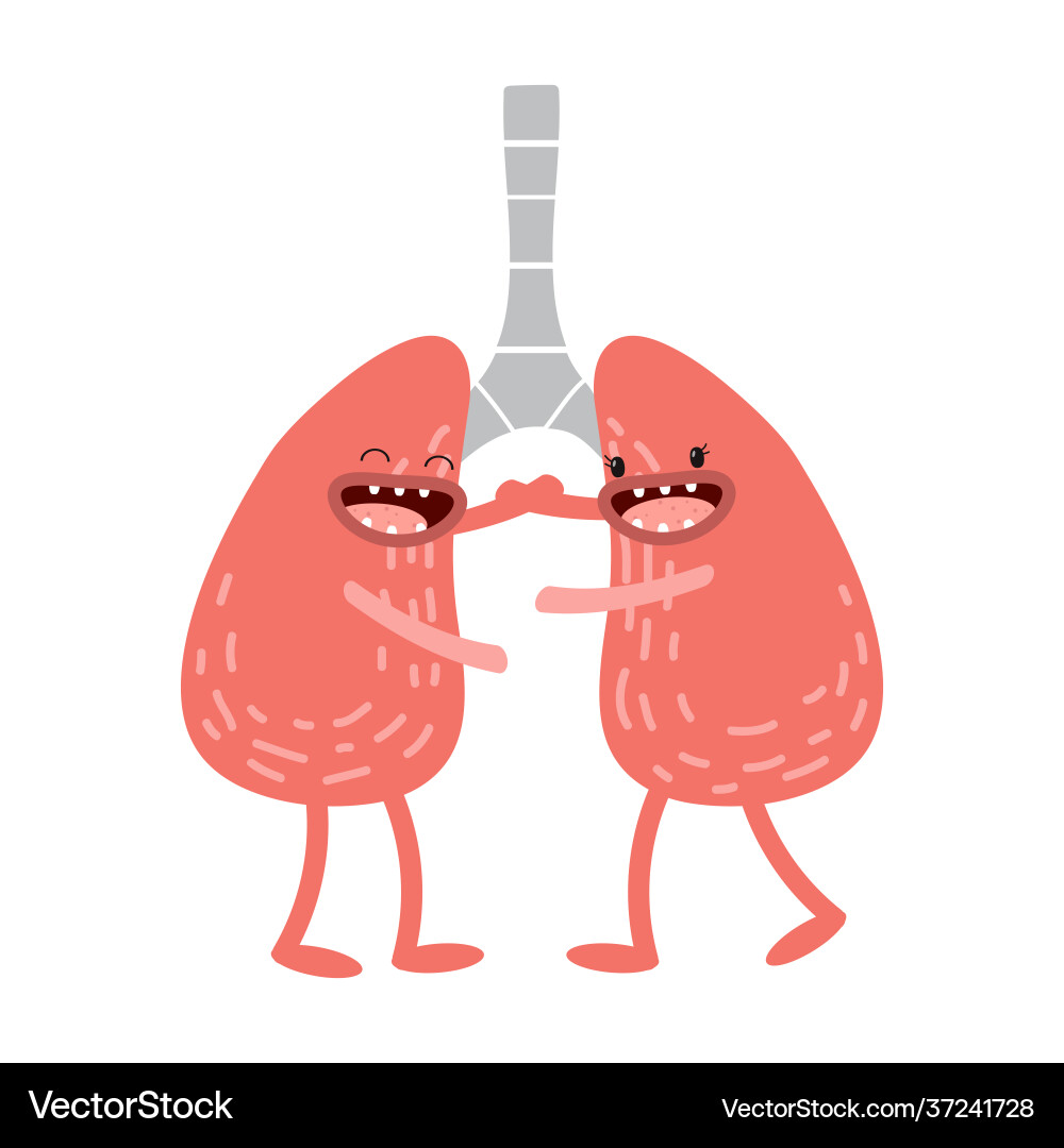 Cartoon human anatomy healthy lungs icon Cartoon human anatomy healthy lungs icon vector image