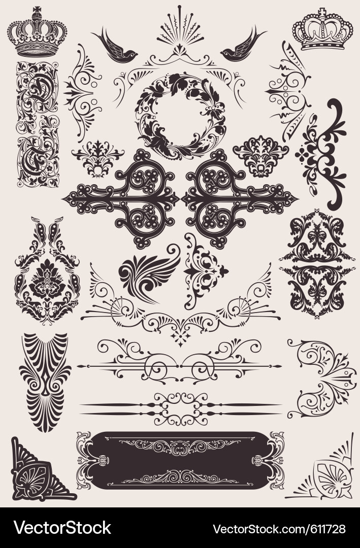 Elegant Calligraphic Ornaments vector image
