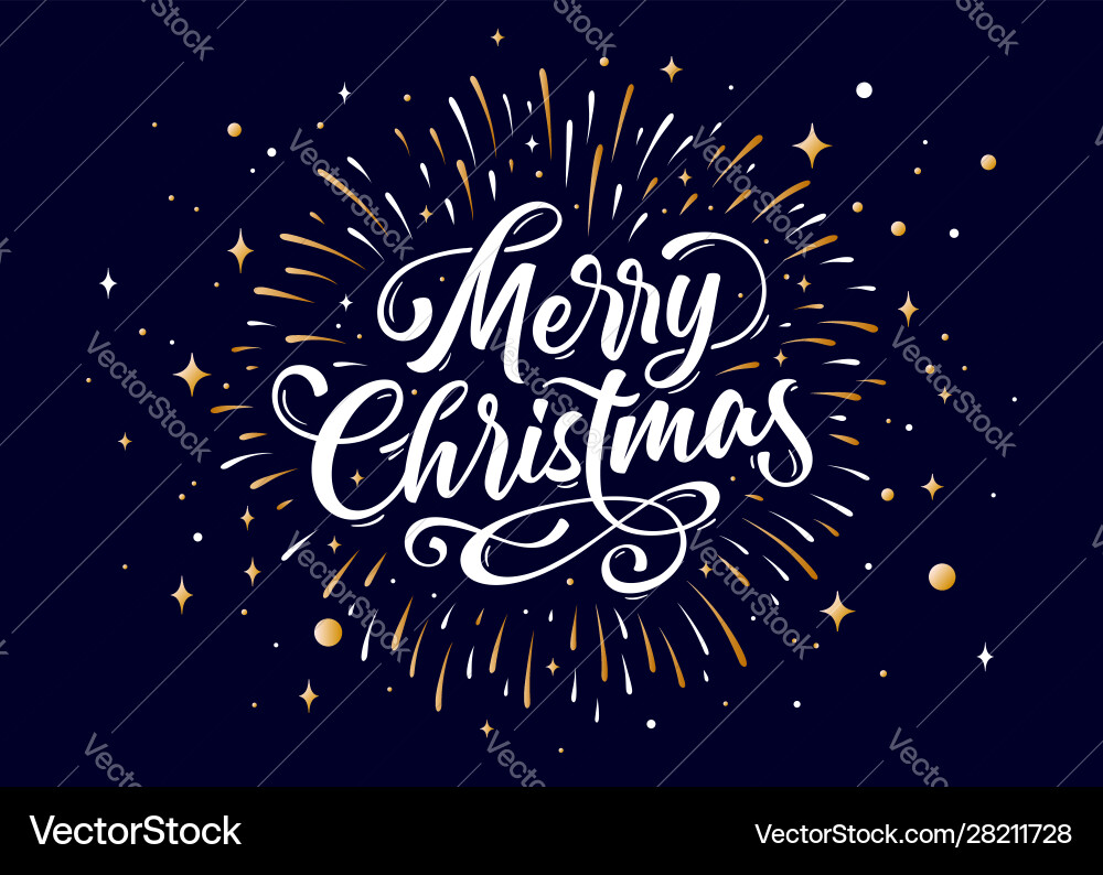 Merry Christmas Script Text vector image
