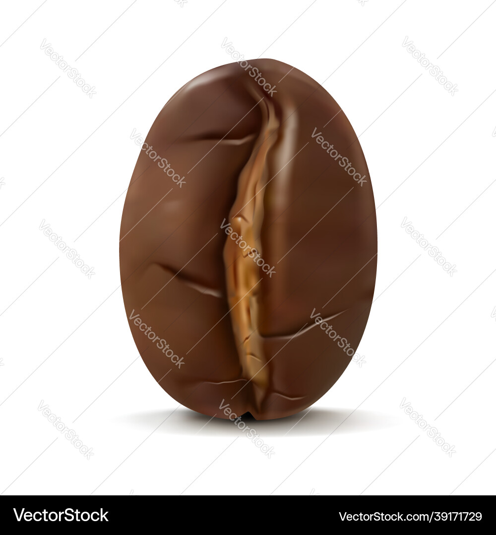 Coffee bean Royalty Free Vector Image - VectorStock