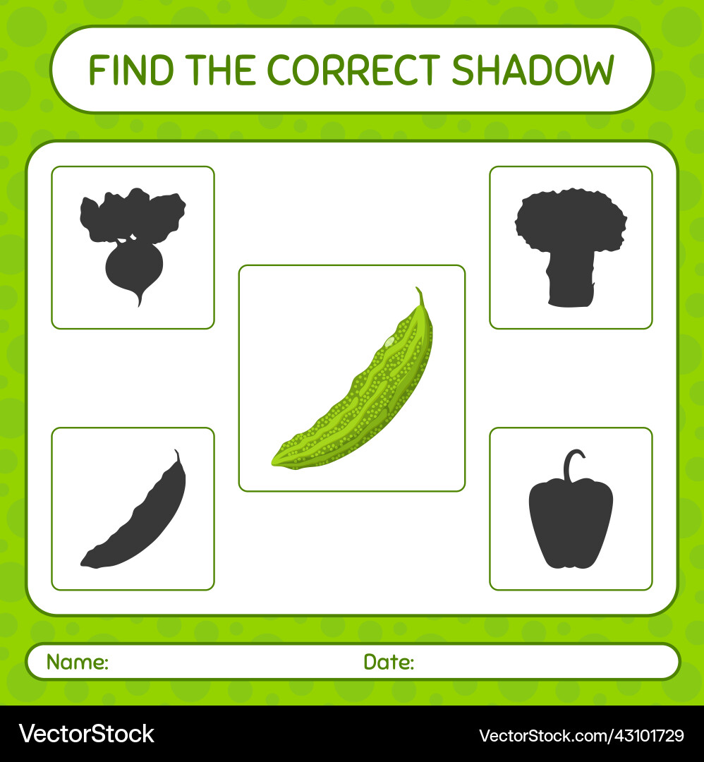Find the correct shadows game with bitter melon Find the correct shadows game with bitter melon vector image