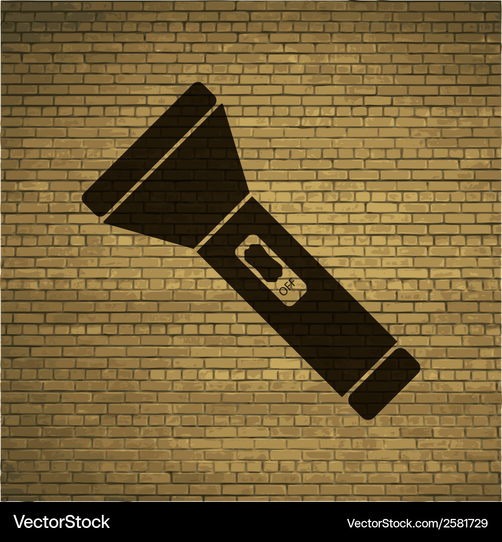 Flashlight flat modern web button and space vector image