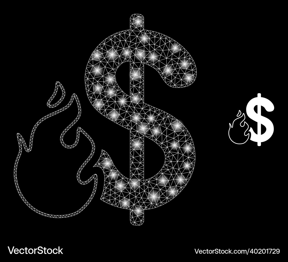 Mesh web dollar fire with illumitated Mesh web dollar fire with illumitated vector image