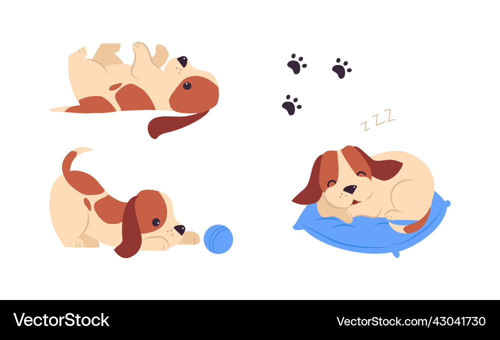 Jack russell terrier puppy with brown spots Jack russell terrier puppy with brown spots vector image