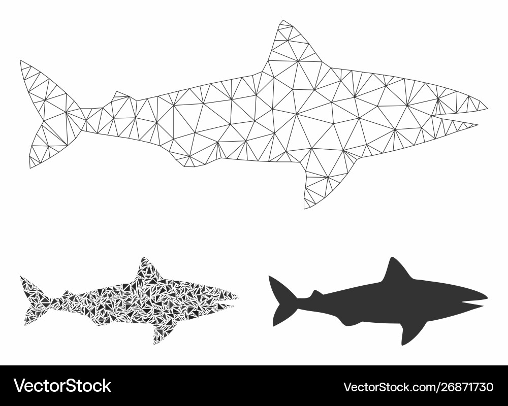 Shark mesh wire frame model and triangle Shark mesh wire frame model and triangle vector image
