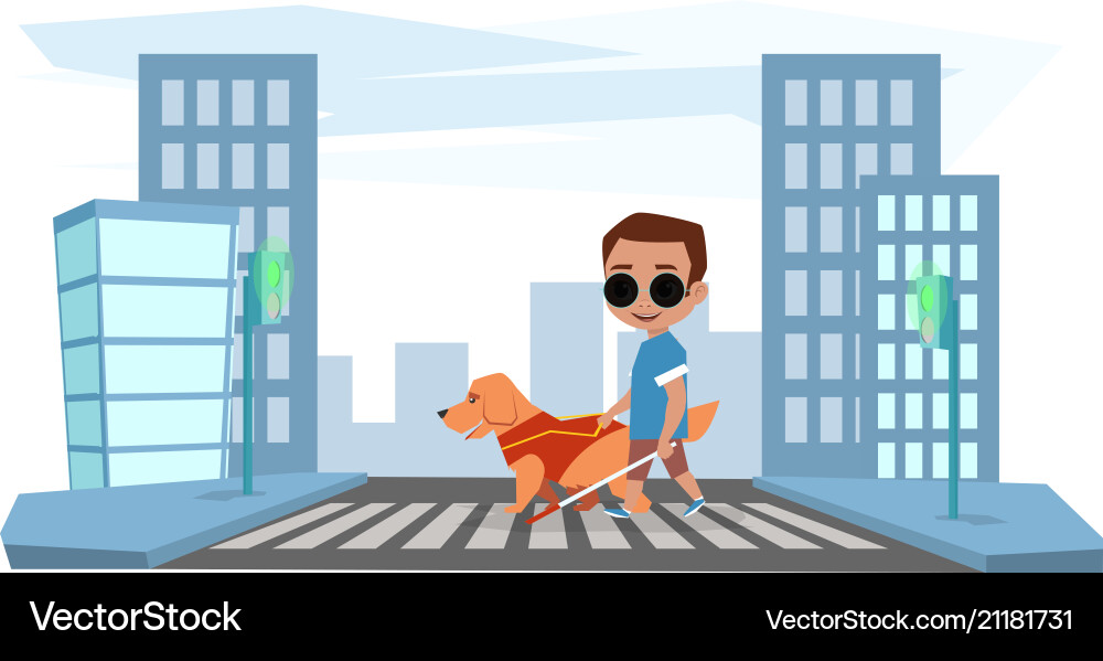 Blind boy crosses road with a guide dog Vector Image