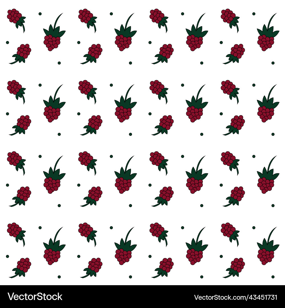 Cartoon raspberry pattern on white background Vector Image