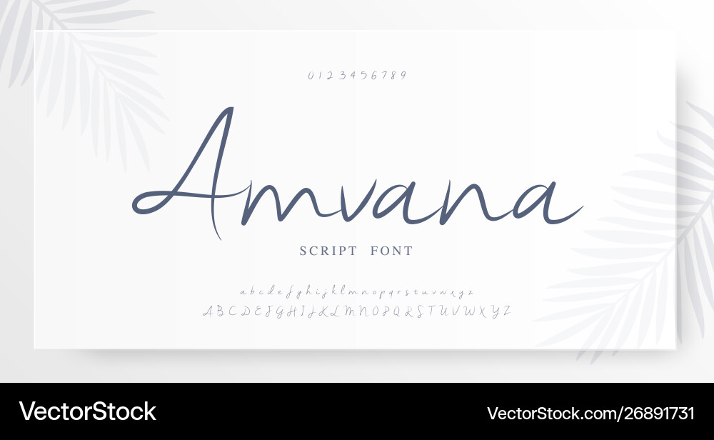 Elegant Script Font - Lettering & Numbers vector image
