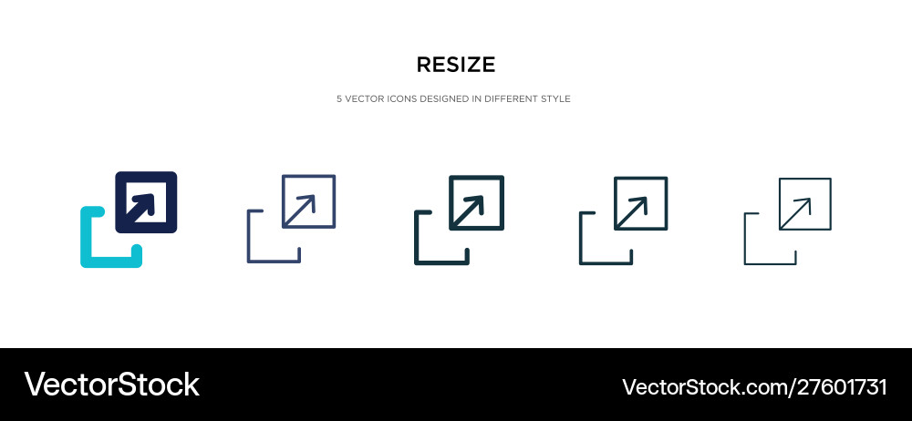 Resize icon in different style two colored vector image