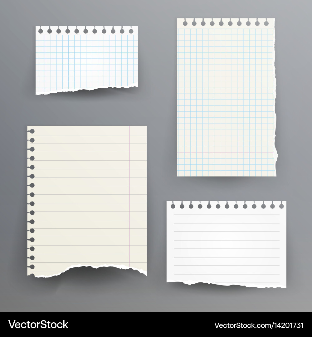 Torn Paper Sheets Vector Image