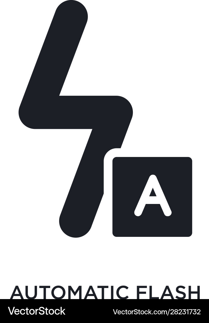 Automatic flash isolated icon simple element from Automatic flash isolated icon simple element from vector image