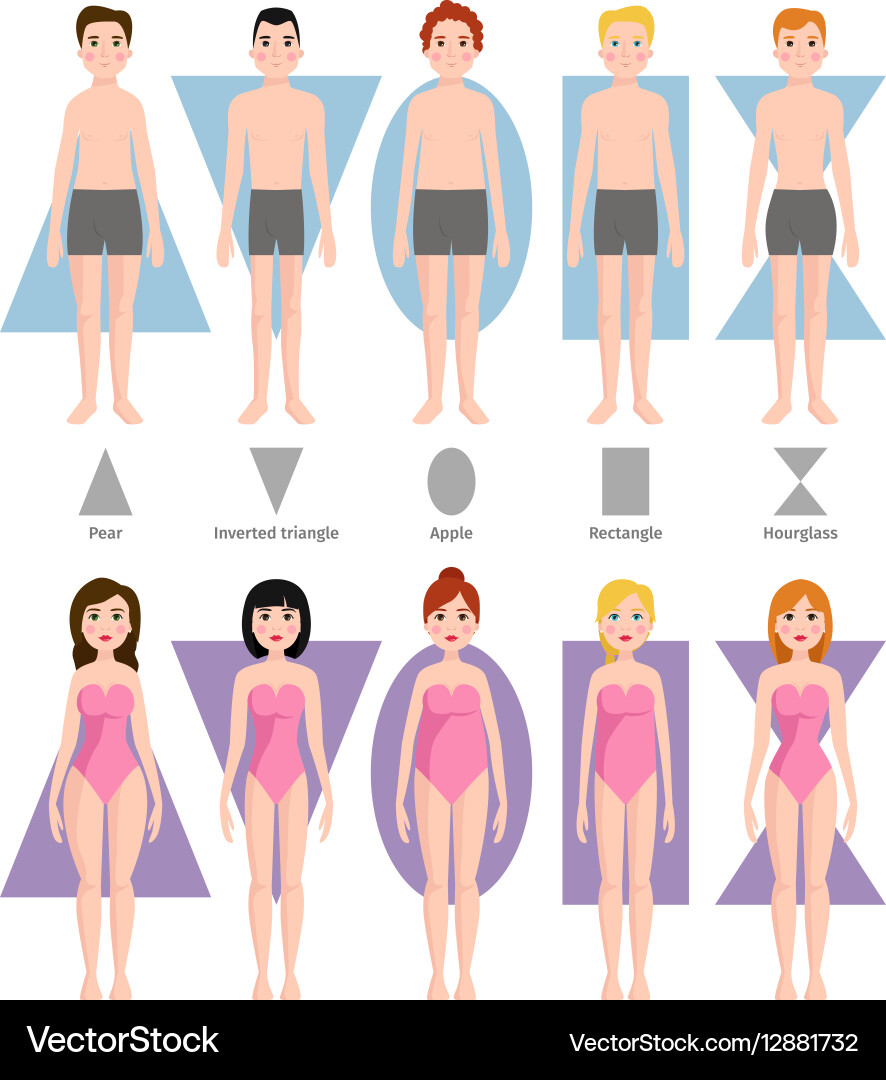 Different body shape types