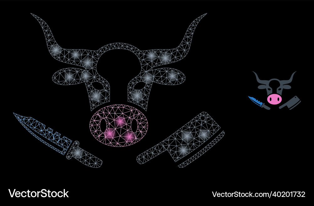 Mesh net butchery with glare constellation vector image