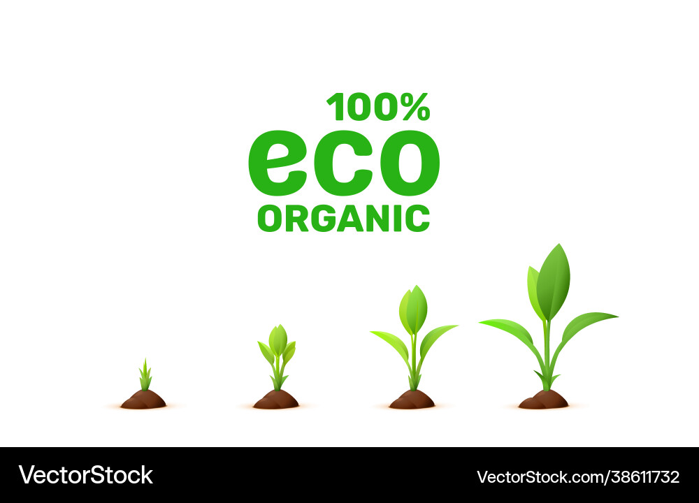 Plant growth stages icon on a white background Plant growth stages icon on a white background vector image