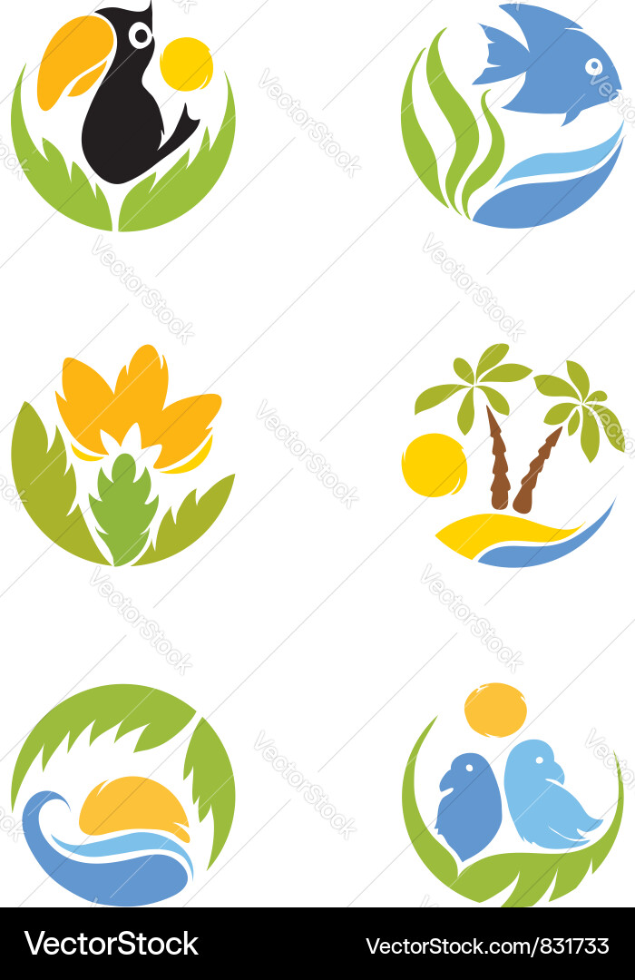 Tropical Birds & Flora Vector Image