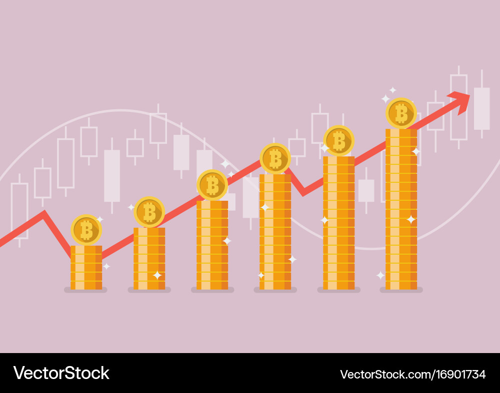 Bitcoin with growth graph vector image