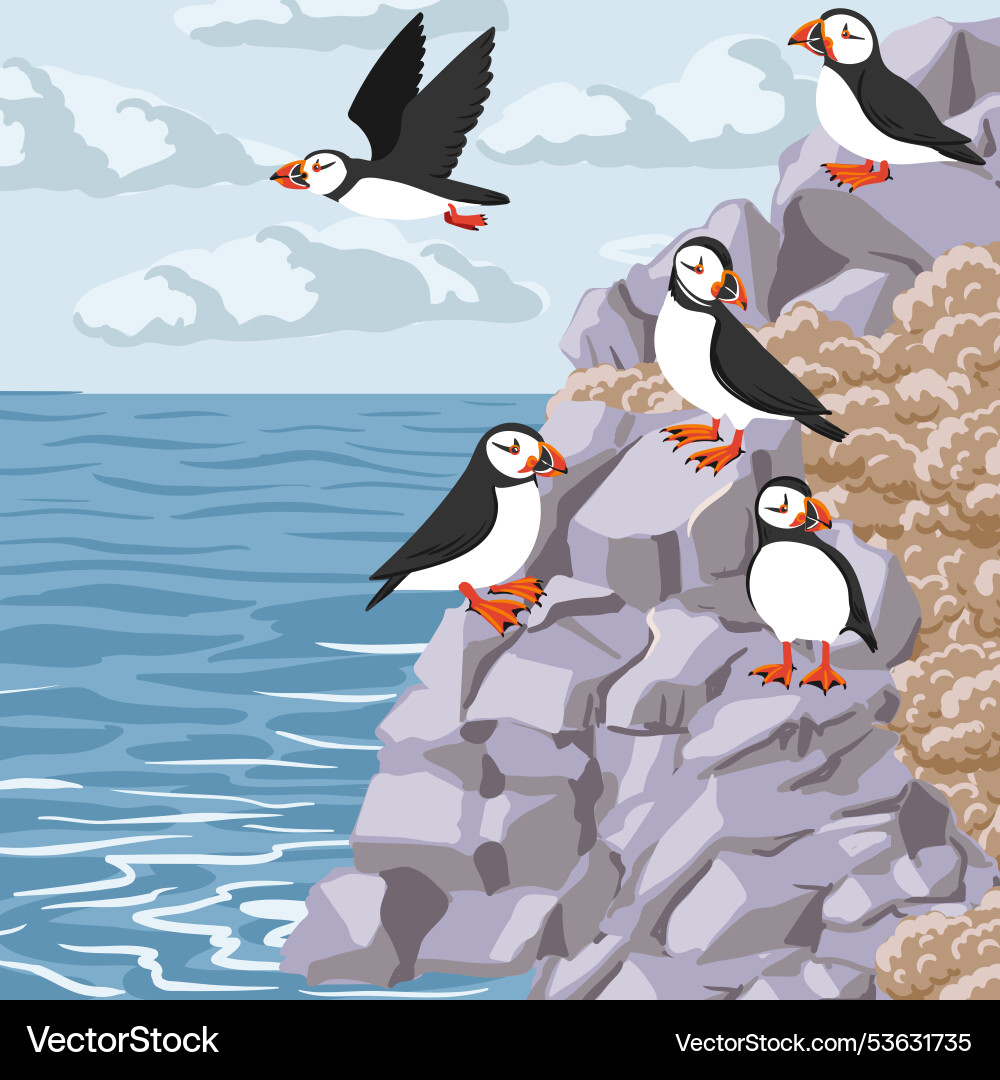 Drawing birds atlantic puffin and rocks Drawing birds atlantic puffin and rocks vector image