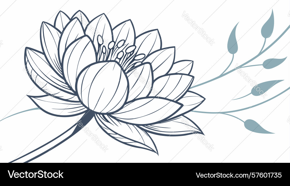 Dynamic lotus flower with splashes artistic vector image