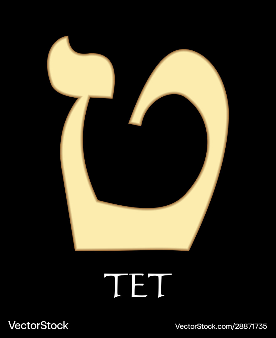Hebrew letter tet ninth alphabet – Royalty-Free Vector | VectorStock