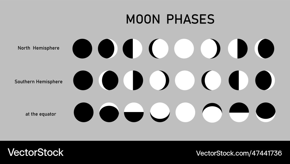 Consistent change of the visible moon in sky Consistent change of the visible moon in sky vector image