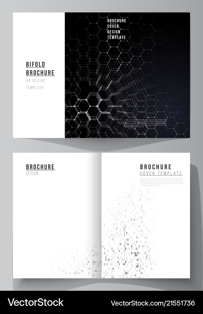 Layout of two a4 format cover mockups Vector Image