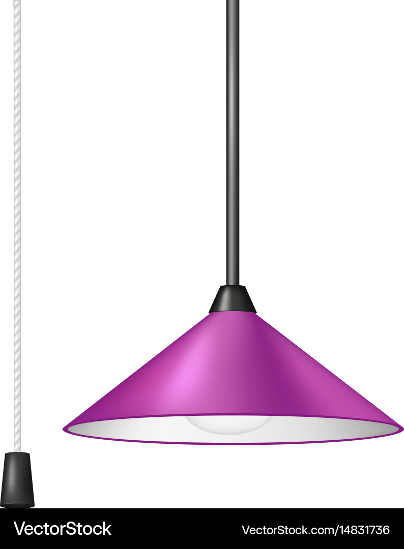 Retro hanging lamp with cord switch Vector Image