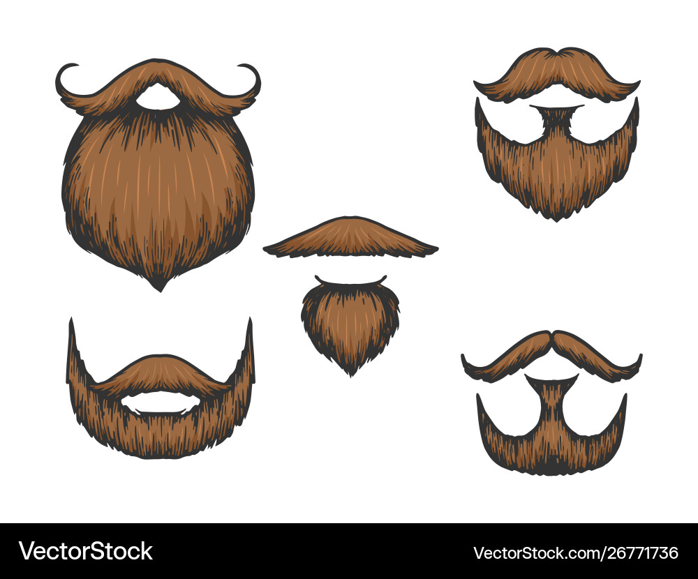 Scratchboard Moustache and Beard vector image