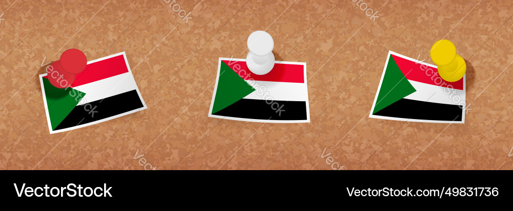 Sudan flag pinned in cork board three versions Sudan flag pinned in cork board three versions Vector Image