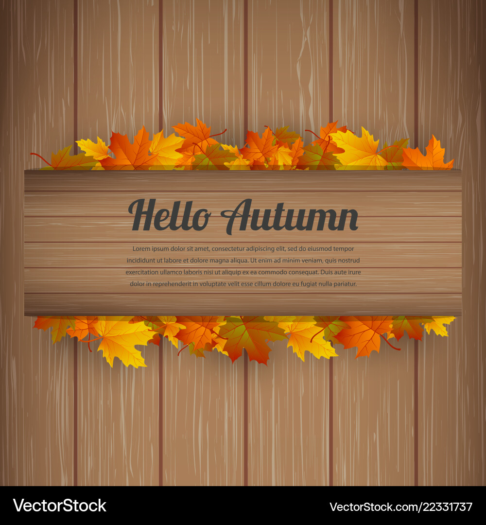 Hello autumn background with falling Hello autumn background with falling vector image