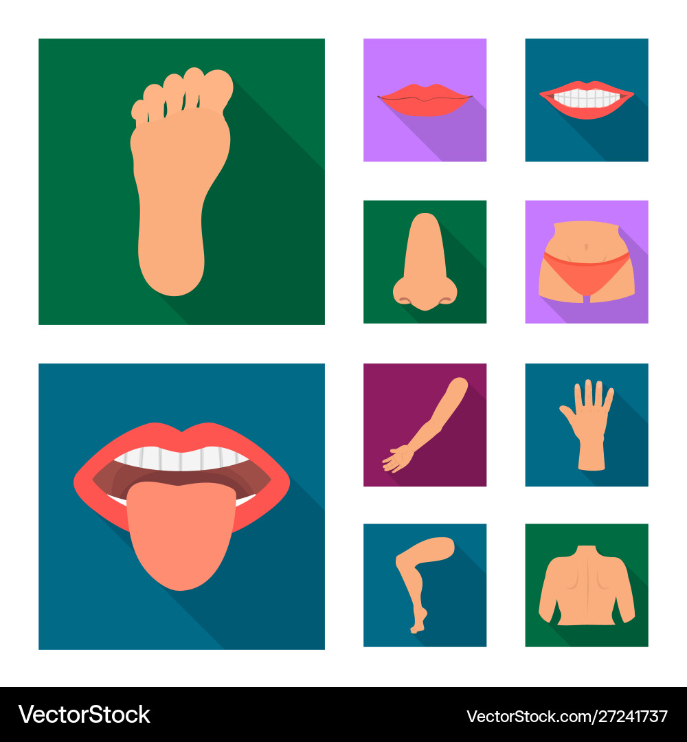 Isolated object body and part sign collection Isolated object body and part sign collection vector image