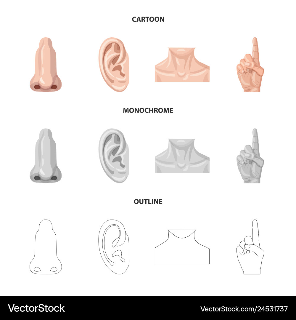 Isolated object of human and part symbol Isolated object of human and part symbol vector image